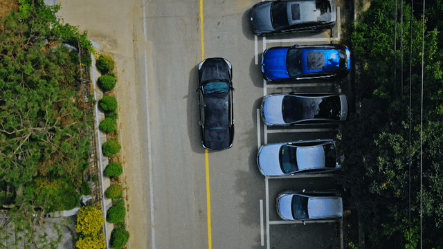 교외 도로를 주행하는 자동차