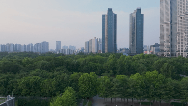 Green park beneath Seoul city skyline