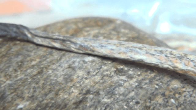 Dried Fish Being Flattened with Hammer