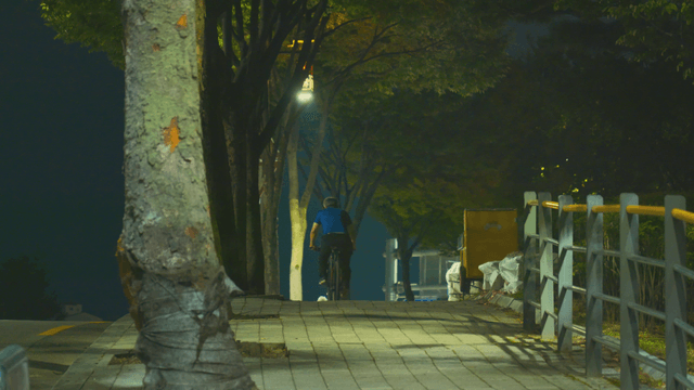 Cycling with a dog along a tree-lined road old man at night